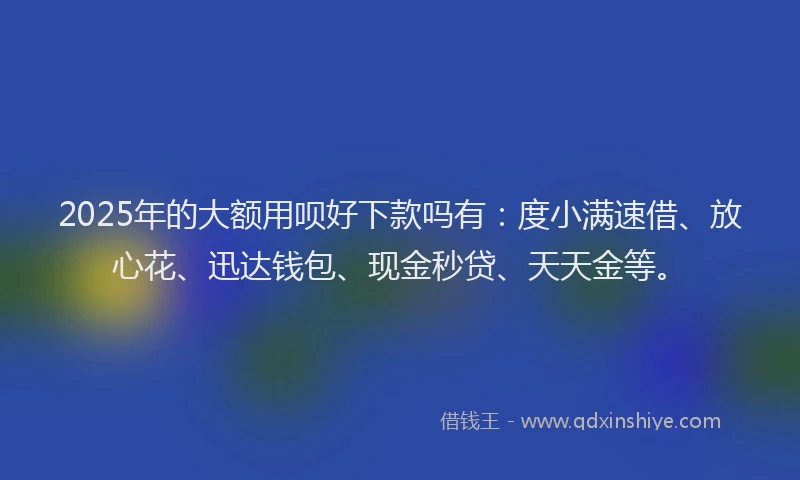 2025年的大额用呗好下款吗有：度小满速借、放心花、迅达钱包、现金秒贷、天天金等。