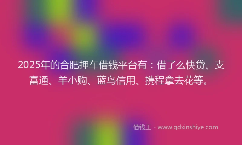 2025年的合肥押车借钱平台有：借了么快贷、支富通、羊小购、蓝鸟信用、携程拿去花等。