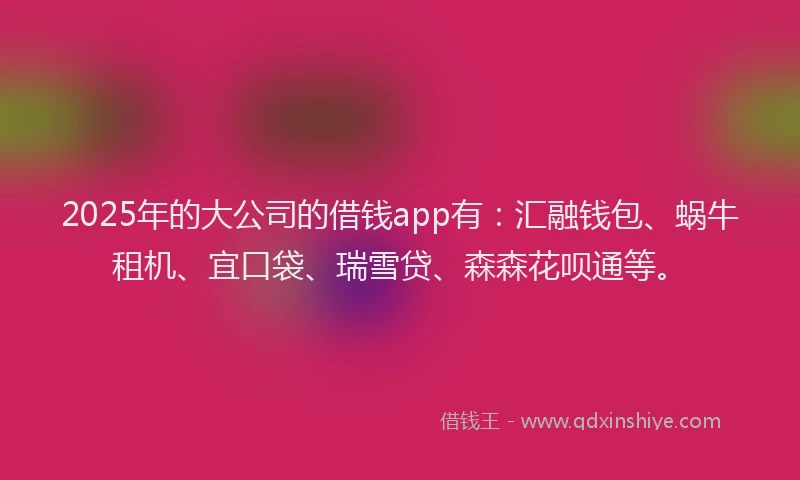 2025年的大公司的借钱app有：汇融钱包、蜗牛租机、宜口袋、瑞雪贷、森森花呗通等。