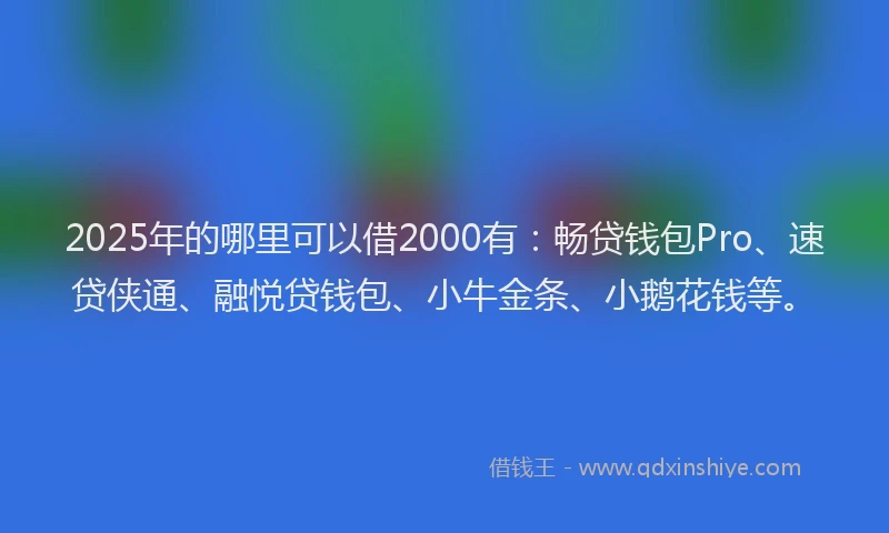 2025年的哪里可以借2000有：畅贷钱包Pro、速贷侠通、融悦贷钱包、小牛金条、小鹅花钱等。