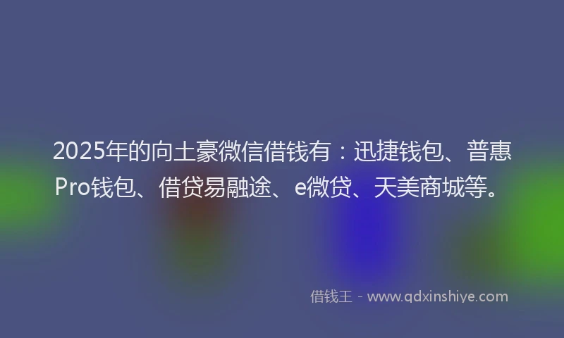 2025年的向土豪微信借钱有：迅捷钱包、普惠Pro钱包、借贷易融途、e微贷、天美商城等。
