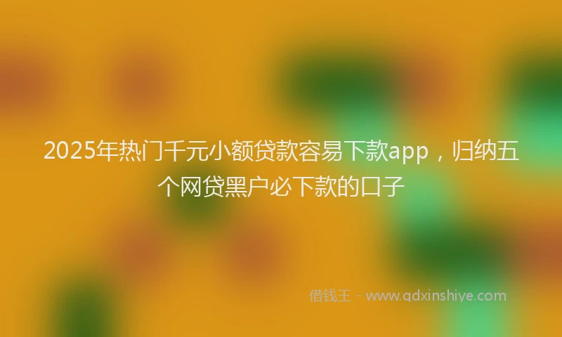 2025年热门千元小额贷款容易下款app，归纳五个网贷黑户必下款的口子