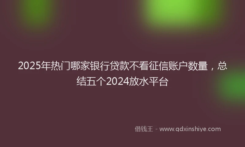 2025年热门哪家银行贷款不看征信账户数量，总结五个2024放水平台
