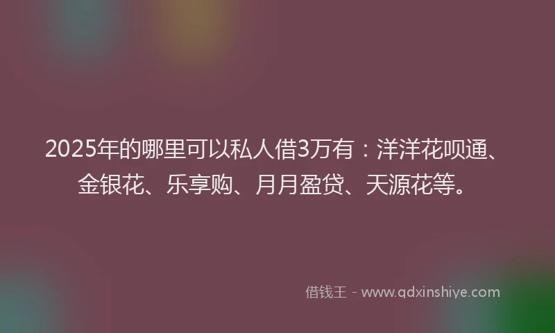 2025年的哪里可以私人借3万有：洋洋花呗通、金银花、乐享购、月月盈贷、天源花等。