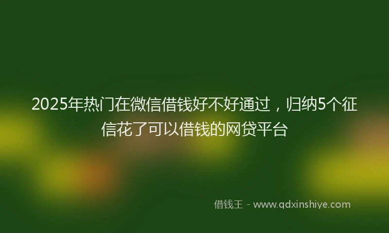 2025年热门在微信借钱好不好通过，归纳5个征信花了可以借钱的网贷平台