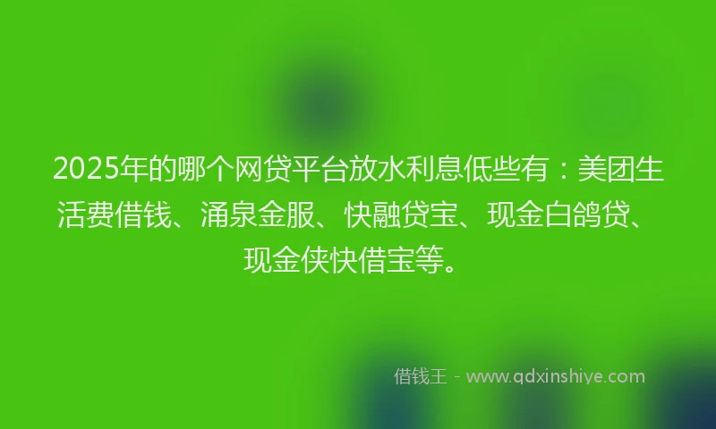 2025年的哪个网贷平台放水利息低些有：美团生活费借钱、涌泉金服、快融贷宝、现金白鸽贷、现金侠快借宝等。