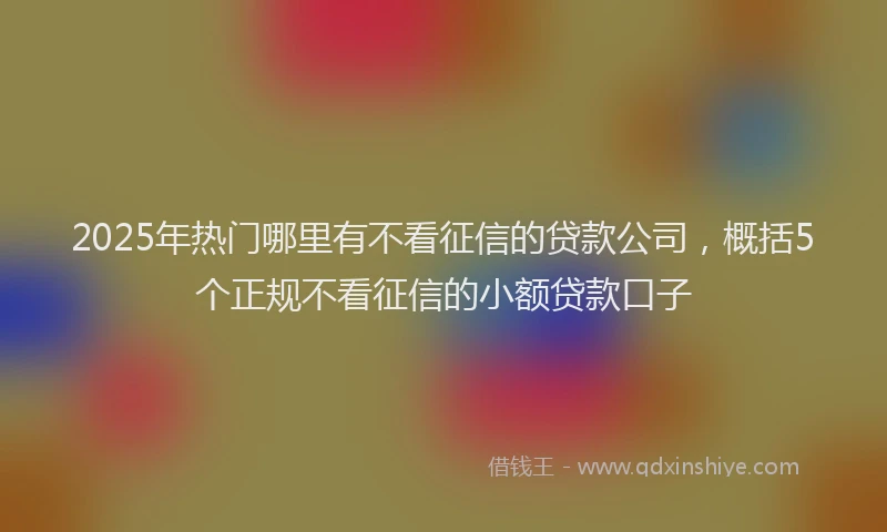 2025年热门哪里有不看征信的贷款公司，概括5个正规不看征信的小额贷款口子