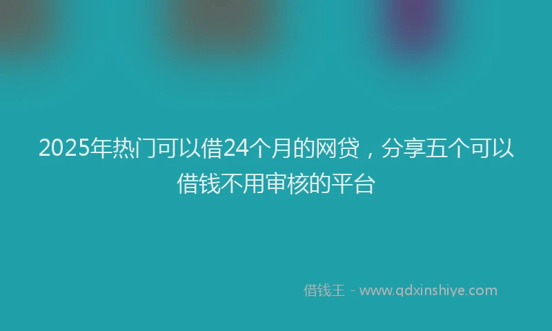 2025年热门可以借24个月的网贷，分享五个可以借钱不用审核的平台