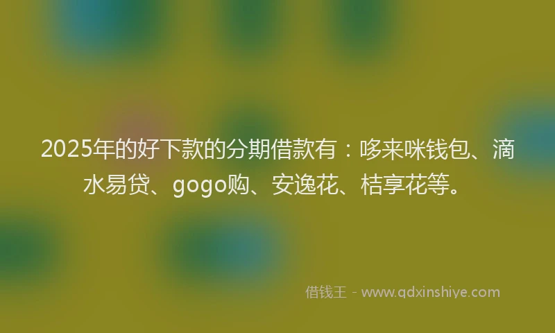 2025年的好下款的分期借款有：哆来咪钱包、滴水易贷、gogo购、安逸花、桔享花等。