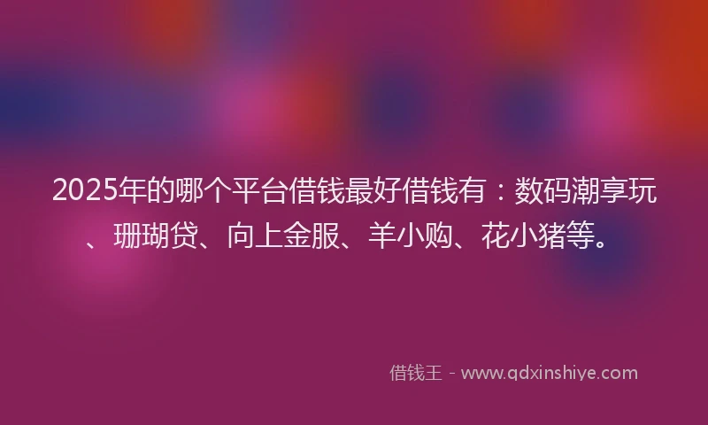 2025年的哪个平台借钱最好借钱有：数码潮享玩、珊瑚贷、向上金服、羊小购、花小猪等。