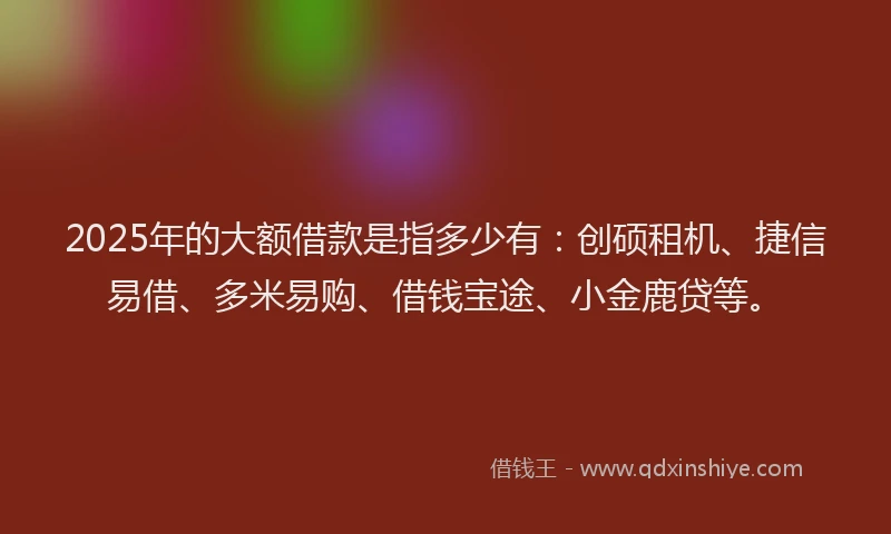 2025年的大额借款是指多少有：创硕租机、捷信易借、多米易购、借钱宝途、小金鹿贷等。