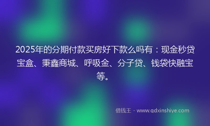 2025年的分期付款买房好下款么吗有：现金秒贷宝盒、秉鑫商城、呼吸金、分子贷、钱袋快融宝等。