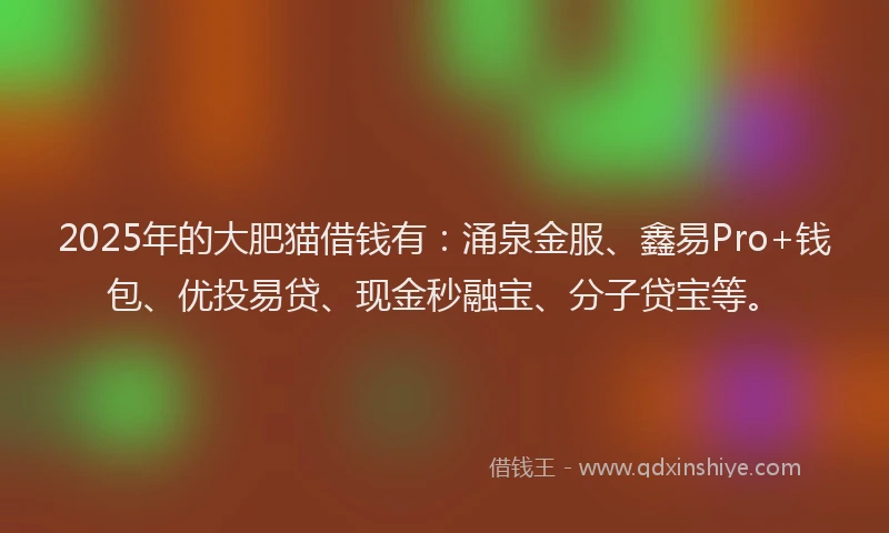 2025年的大肥猫借钱有：涌泉金服、鑫易Pro+钱包、优投易贷、现金秒融宝、分子贷宝等。