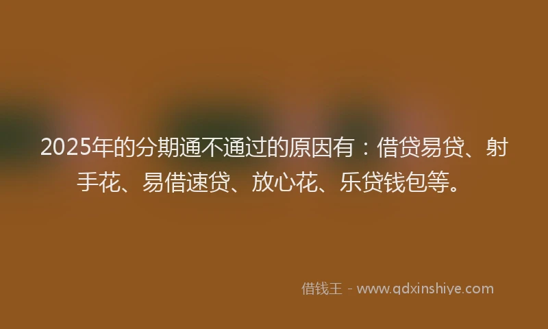 2025年的分期通不通过的原因有：借贷易贷、射手花、易借速贷、放心花、乐贷钱包等。