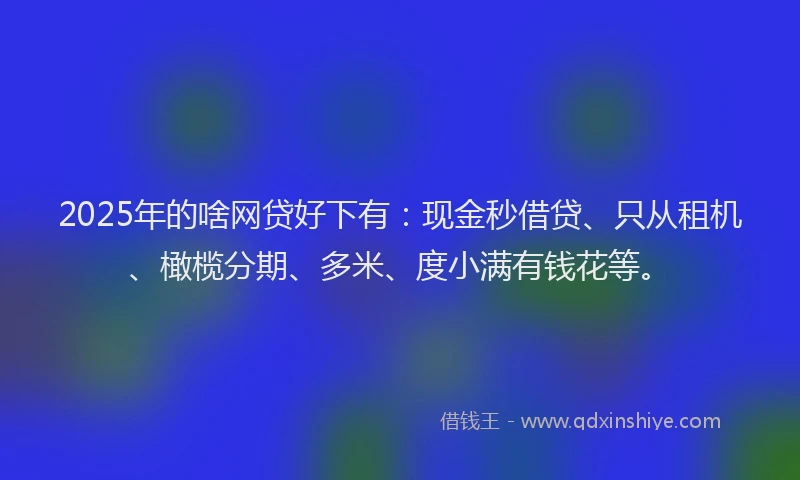 2025年的啥网贷好下有：现金秒借贷、只从租机、橄榄分期、多米、度小满有钱花等。
