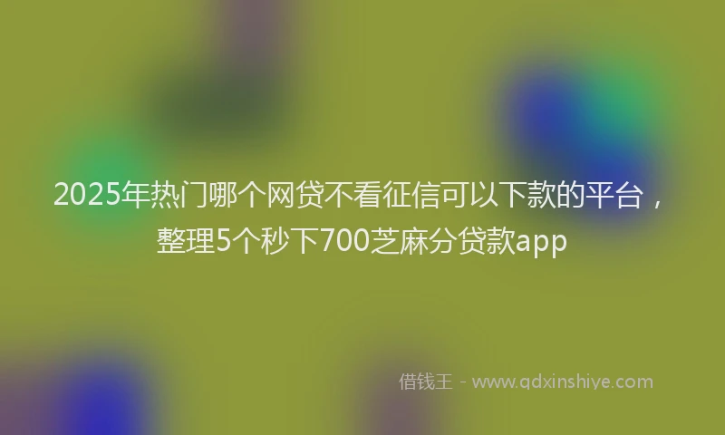 2025年热门哪个网贷不看征信可以下款的平台，整理5个秒下700芝麻分贷款app