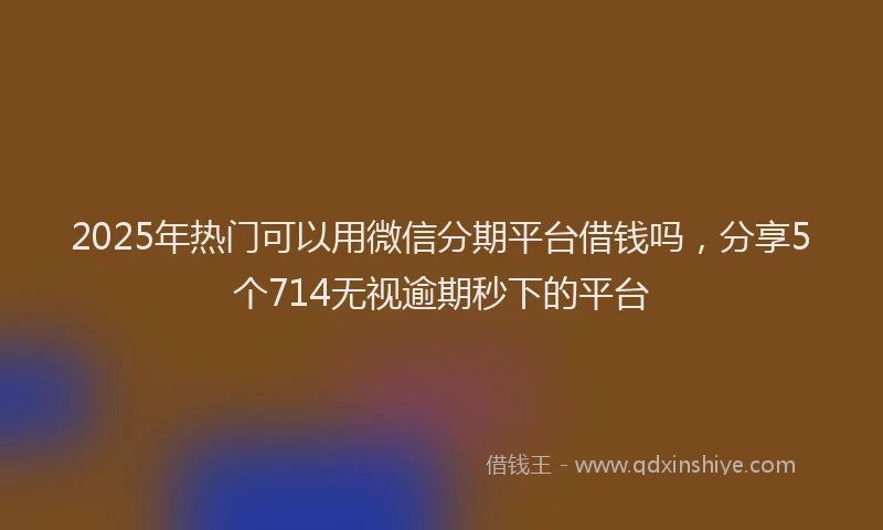 2025年热门可以用微信分期平台借钱吗，分享5个714无视逾期秒下的平台