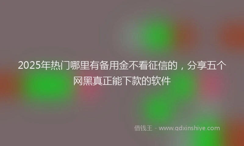 2025年热门哪里有备用金不看征信的，分享五个网黑真正能下款的软件