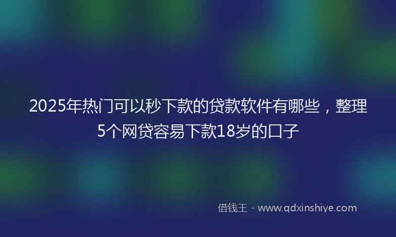 2025年热门可以秒下款的贷款软件有哪些，整理5个网贷容易下款18岁的口子