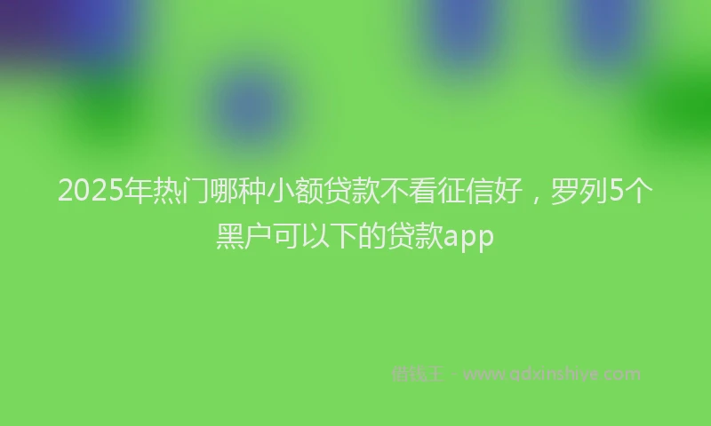 2025年热门哪种小额贷款不看征信好，罗列5个黑户可以下的贷款app
