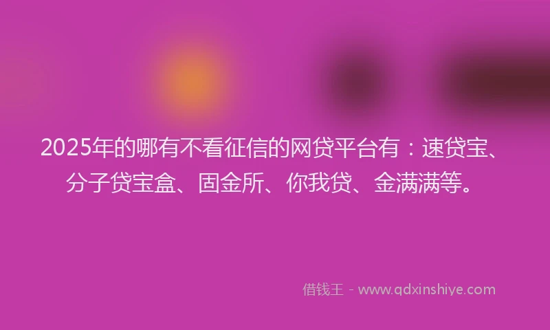 2025年的哪有不看征信的网贷平台有：速贷宝、分子贷宝盒、固金所、你我贷、金满满等。
