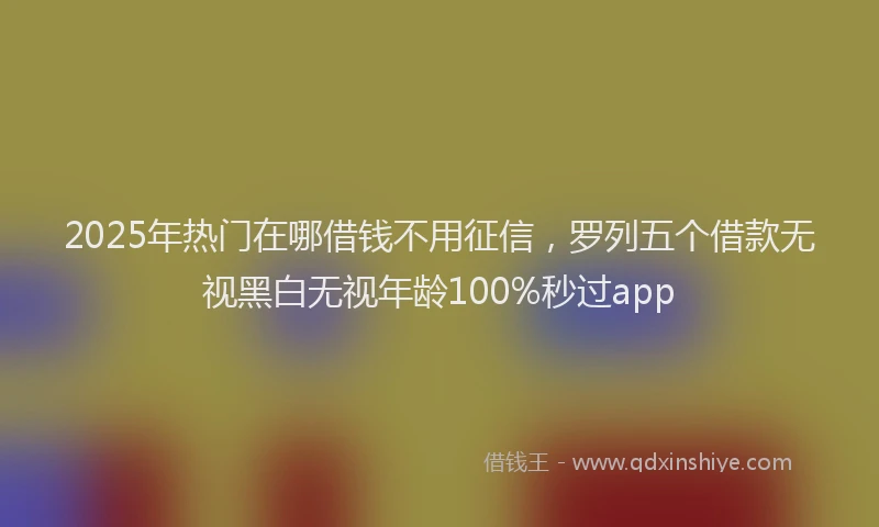 2025年热门在哪借钱不用征信，罗列五个借款无视黑白无视年龄100%秒过app