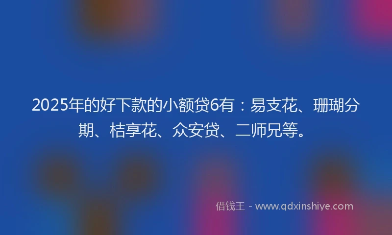 2025年的好下款的小额贷6有：易支花、珊瑚分期、桔享花、众安贷、二师兄等。