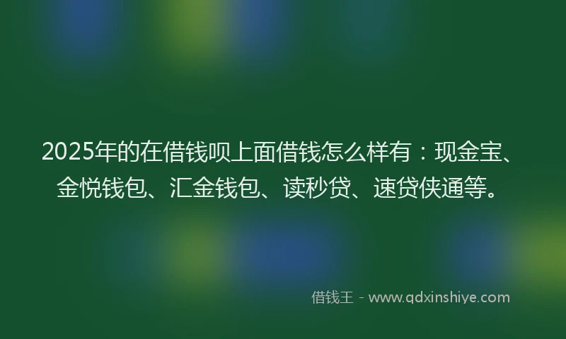 2025年的在借钱呗上面借钱怎么样有：现金宝、金悦钱包、汇金钱包、读秒贷、速贷侠通等。