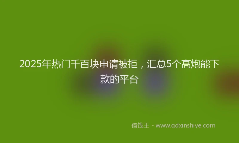 2025年热门千百块申请被拒，汇总5个高炮能下款的平台