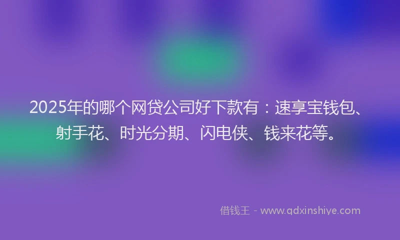 2025年的哪个网贷公司好下款有：速享宝钱包、射手花、时光分期、闪电侠、钱来花等。