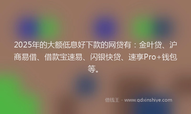 2025年的大额低息好下款的网贷有：金叶贷、沪商易借、借款宝速易、闪银快贷、速享Pro+钱包等。