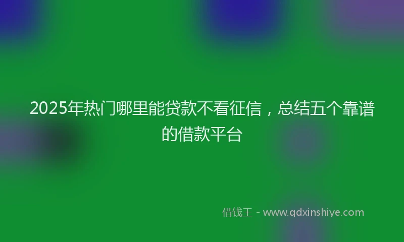 2025年热门哪里能贷款不看征信，总结五个靠谱的借款平台