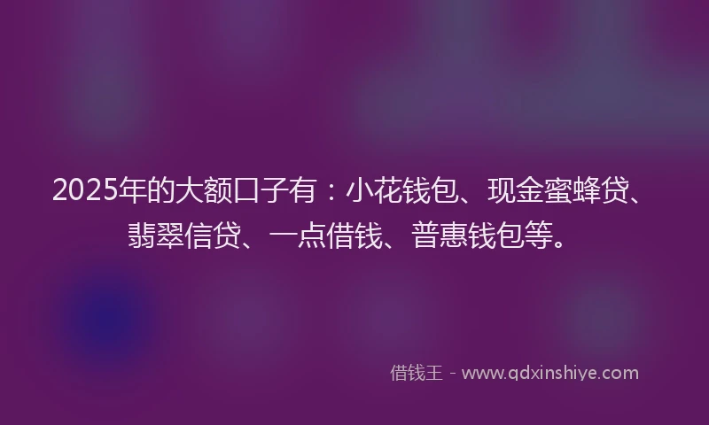 2025年的大额口子有：小花钱包、现金蜜蜂贷、翡翠信贷、一点借钱、普惠钱包等。