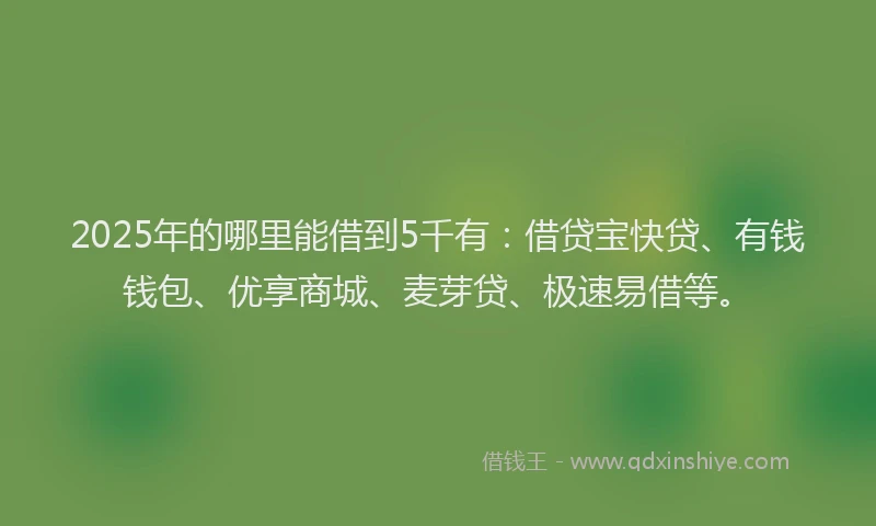 2025年的哪里能借到5千有：借贷宝快贷、有钱钱包、优享商城、麦芽贷、极速易借等。