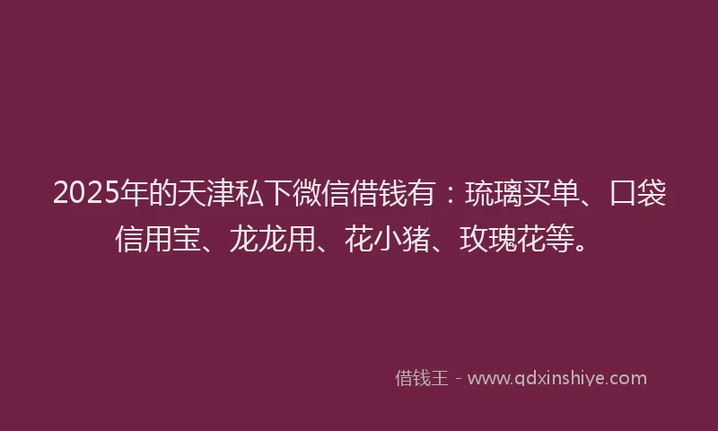 2025年的天津私下微信借钱有：琉璃买单、口袋信用宝、龙龙用、花小猪、玫瑰花等。
