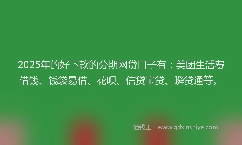 2025年的好下款的分期网贷口子有：美团生活费借钱、钱袋易借、花呗、信贷宝贷、瞬贷通等。