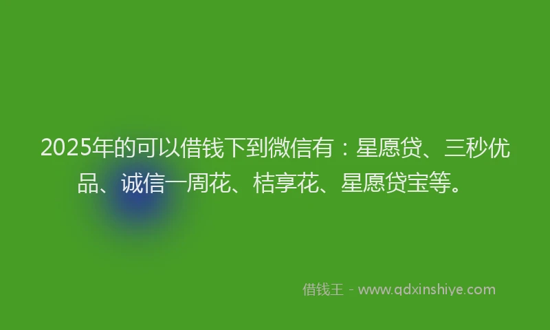 2025年的可以借钱下到微信有：星愿贷、三秒优品、诚信一周花、桔享花、星愿贷宝等。