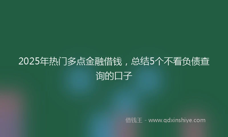 2025年热门多点金融借钱，总结5个不看负债查询的口子