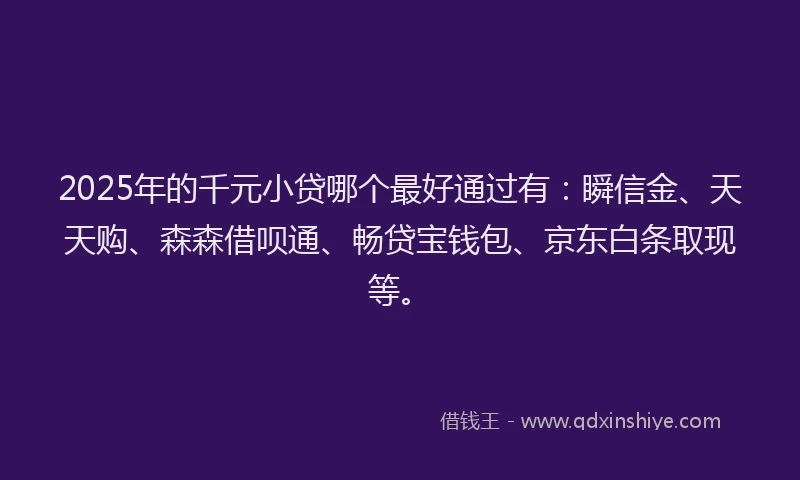 2025年的千元小贷哪个最好通过有：瞬信金、天天购、森森借呗通、畅贷宝钱包、京东白条取现等。