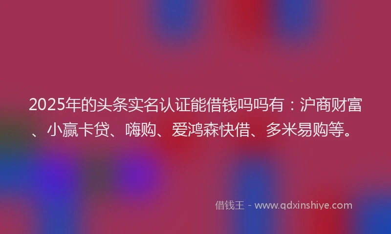 2025年的头条实名认证能借钱吗吗有：沪商财富、小赢卡贷、嗨购、爱鸿森快借、多米易购等。