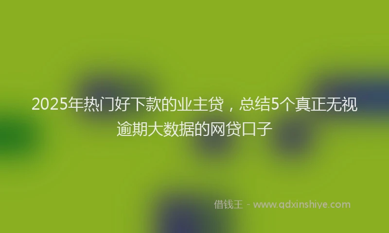 2025年热门好下款的业主贷，总结5个真正无视逾期大数据的网贷口子