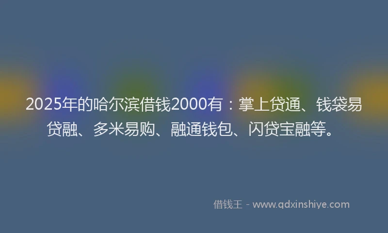 2025年的哈尔滨借钱2000有：掌上贷通、钱袋易贷融、多米易购、融通钱包、闪贷宝融等。
