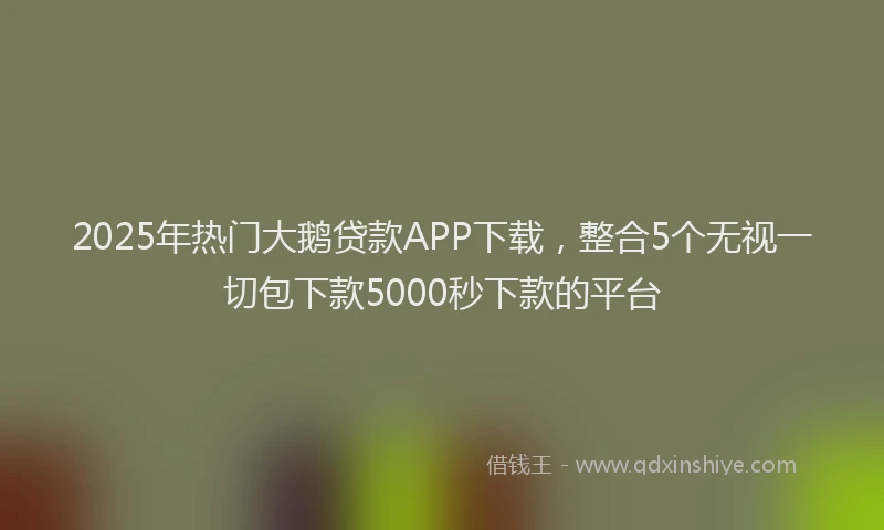 2025年热门大鹅贷款APP下载，整合5个无视一切包下款5000秒下款的平台