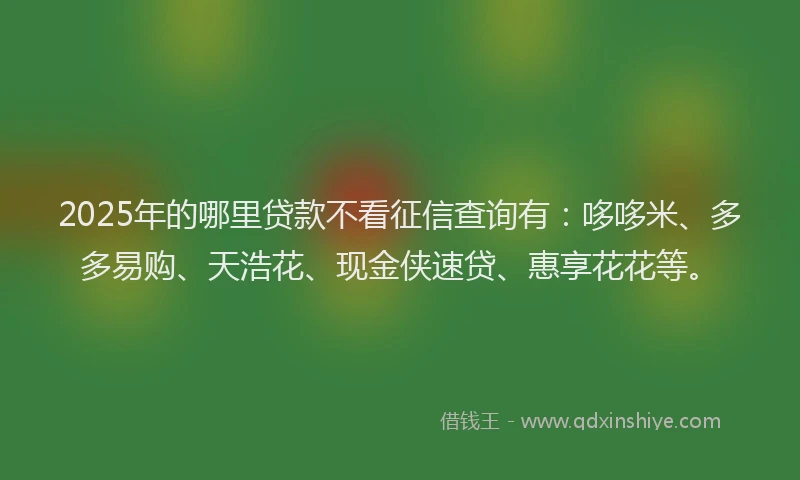 2025年的哪里贷款不看征信查询有：哆哆米、多多易购、天浩花、现金侠速贷、惠享花花等。