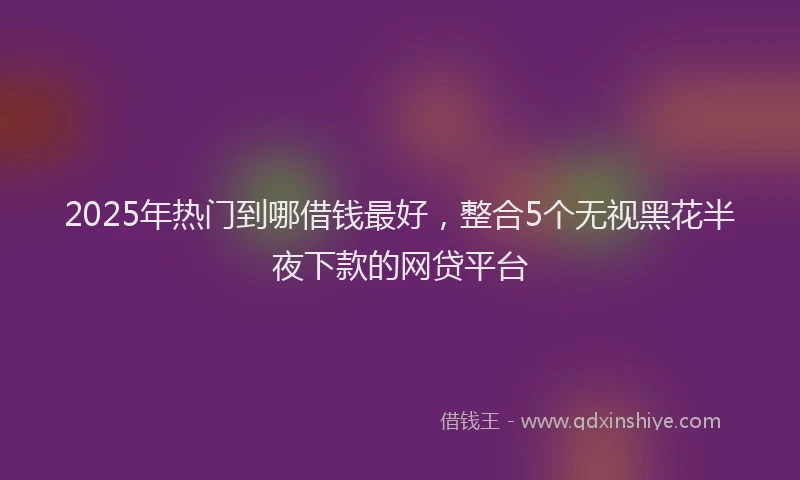 2025年热门到哪借钱最好，整合5个无视黑花半夜下款的网贷平台