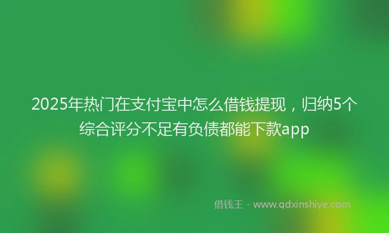 2025年热门在支付宝中怎么借钱提现，归纳5个综合评分不足有负债都能下款app