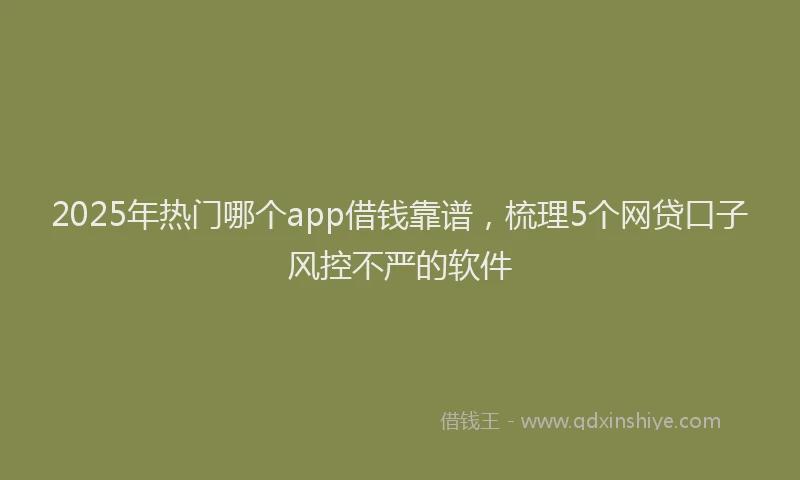 2025年热门哪个app借钱靠谱，梳理5个网贷口子风控不严的软件