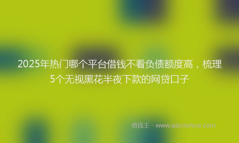 2025年热门哪个平台借钱不看负债额度高，梳理5个无视黑花半夜下款的网贷口子