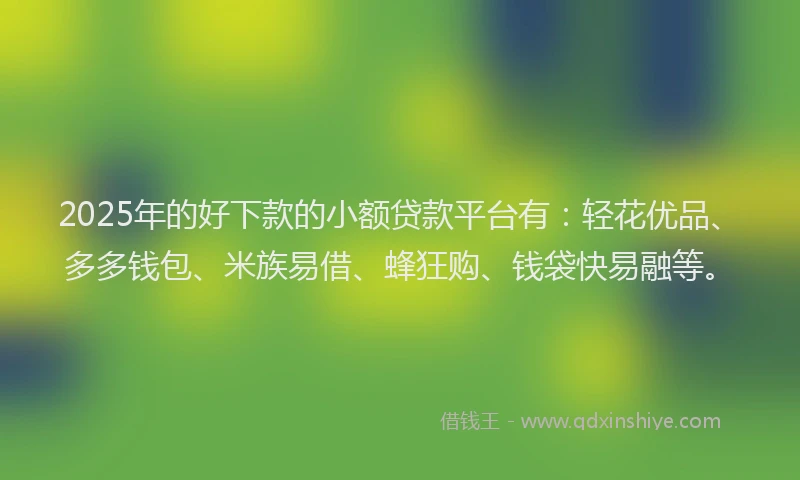 2025年的好下款的小额贷款平台有：轻花优品、多多钱包、米族易借、蜂狂购、钱袋快易融等。