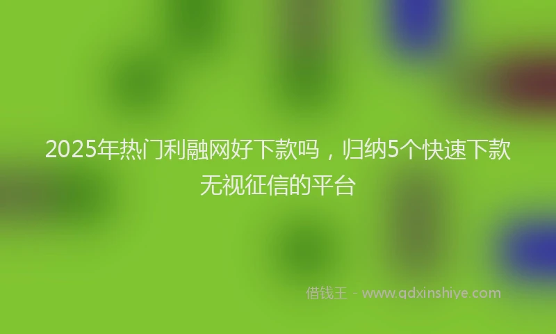 2025年热门利融网好下款吗，归纳5个快速下款无视征信的平台